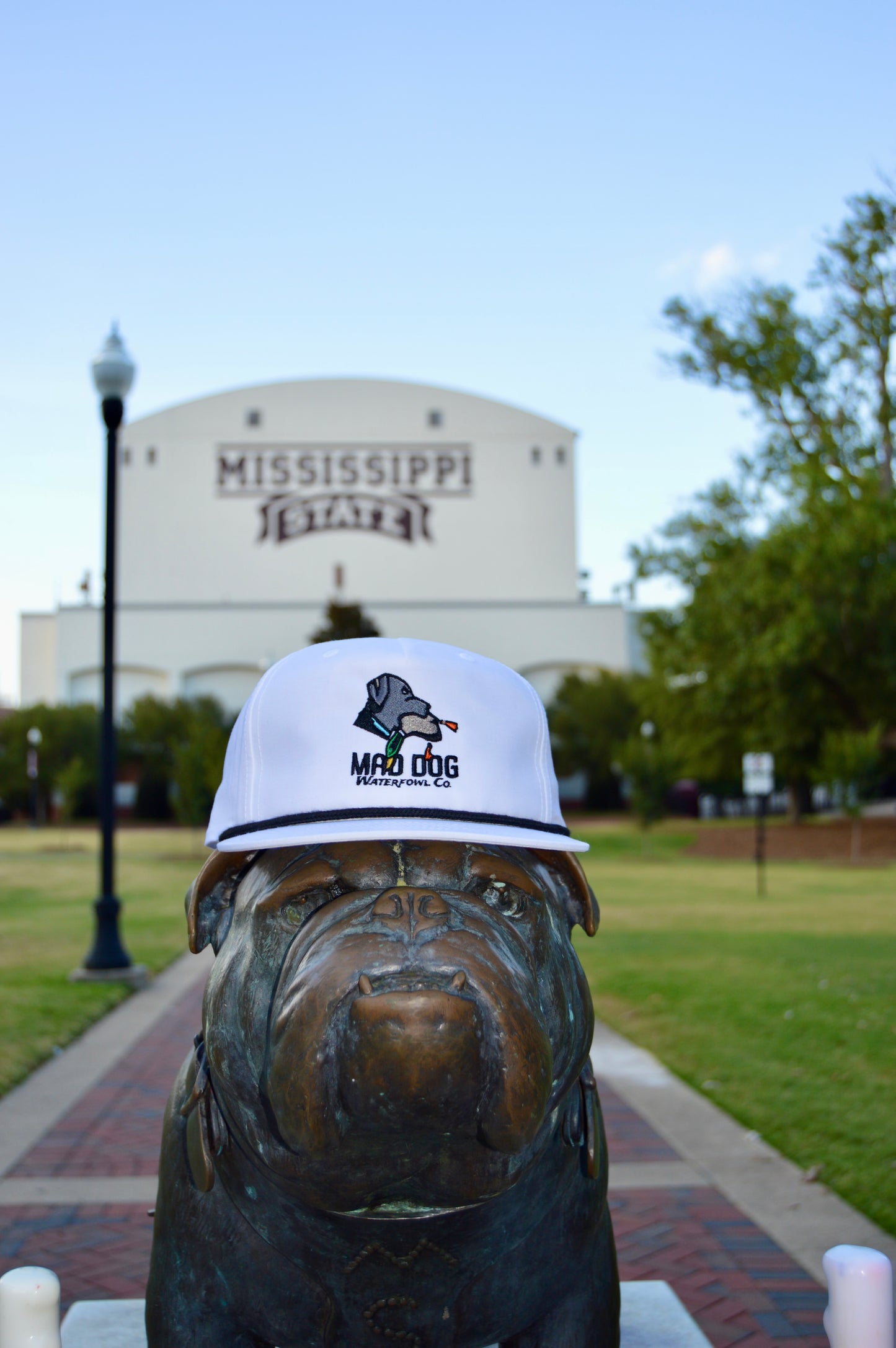 256 White/ Black band Logo Hat