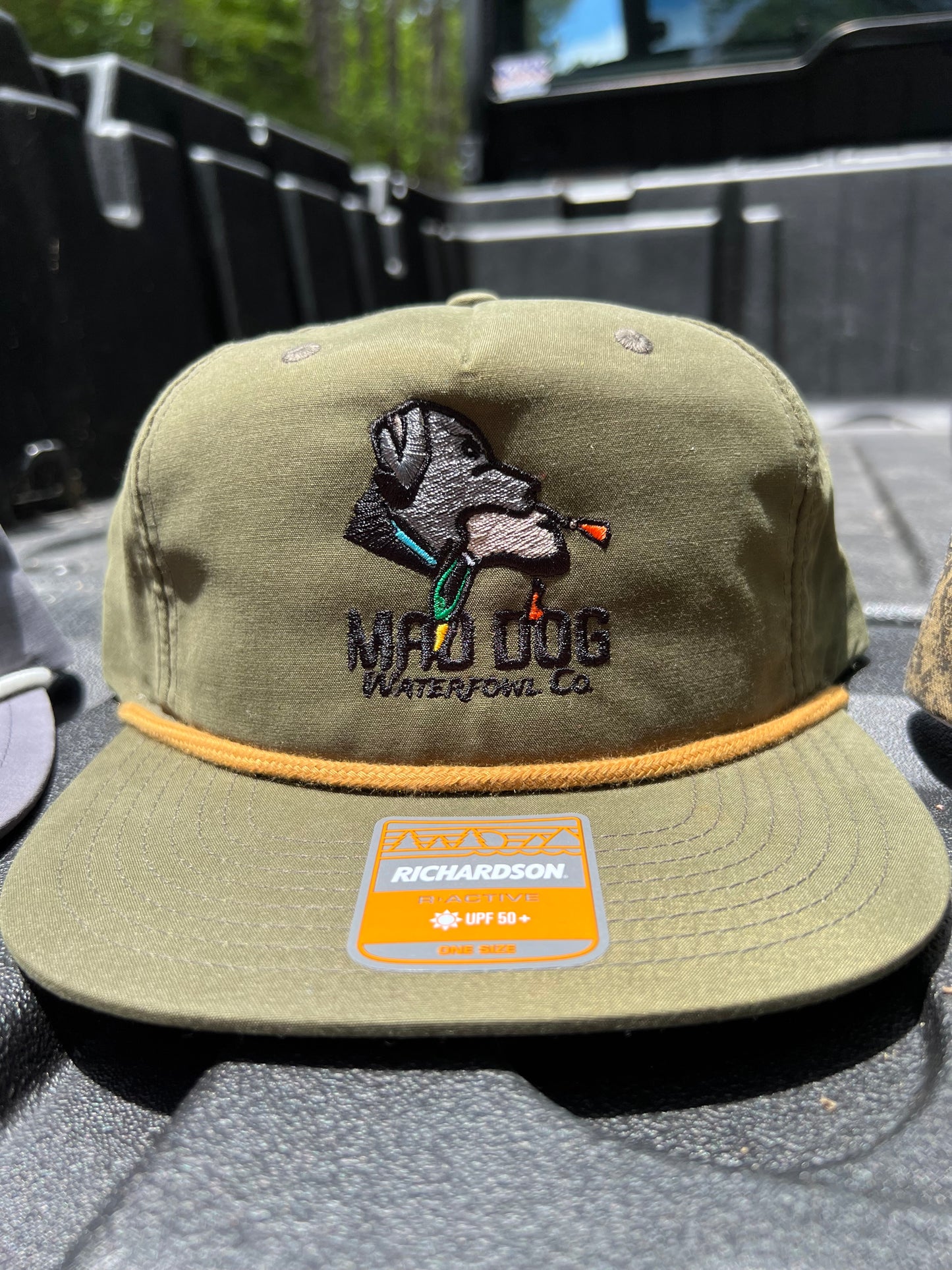 256 Loden Green/ Gold Band Logo hat