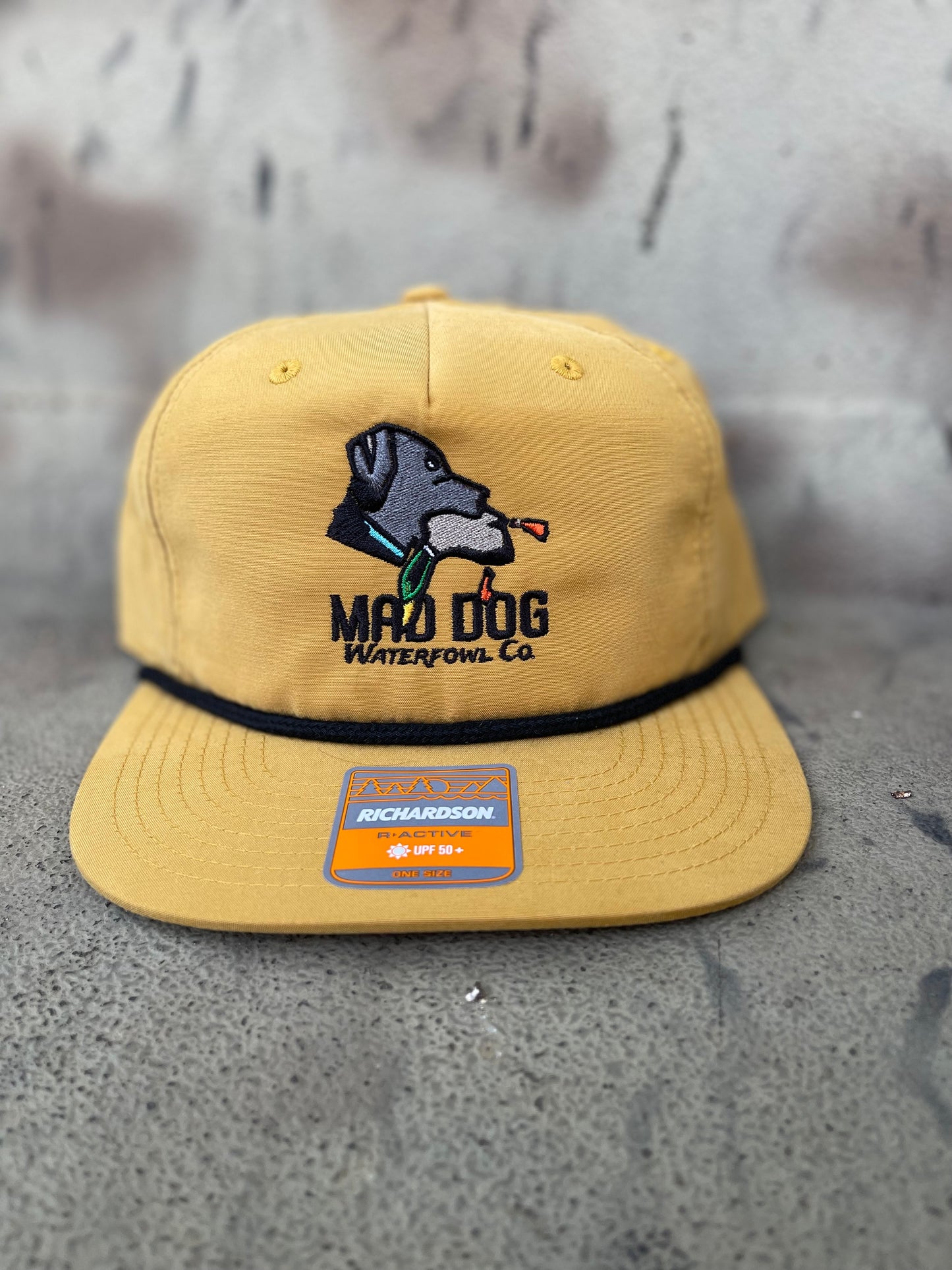 256 Biscuit/ Black band Logo Hat