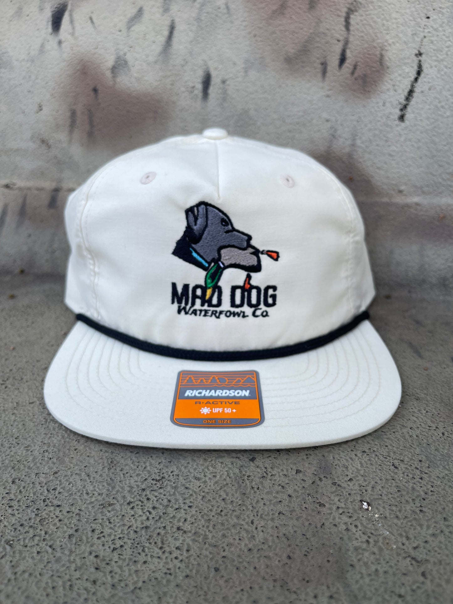 256 Birch/ Black band Logo Hat
